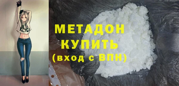 амф Гусев