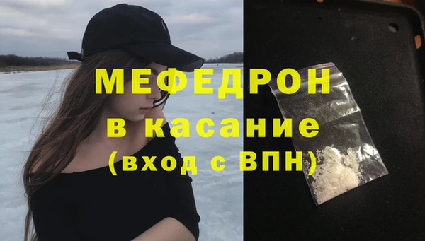 амф Гусев