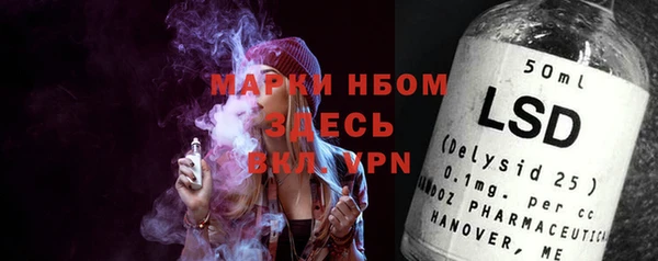 амф Гусев