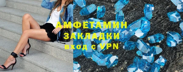 амф Гусев