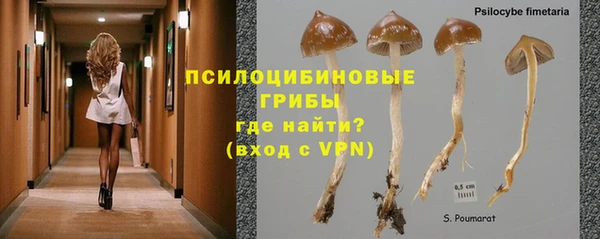 apvp Гусиноозёрск