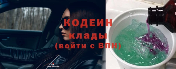 амф Гусев