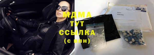амф Гусев