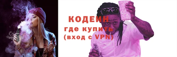 амф Гусев