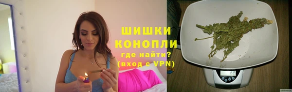 apvp Гусиноозёрск