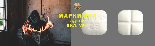 амф Гусев