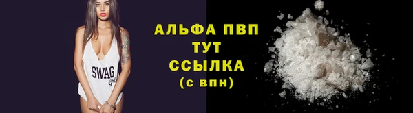 apvp Гусиноозёрск