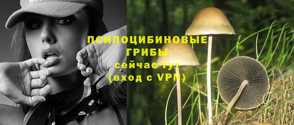 герыч Михайлов
