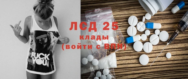 амф Гусев