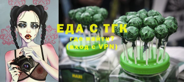 амф Гусев