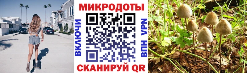Псилоцибиновые грибы MAGIC MUSHROOMS  Петров Вал 